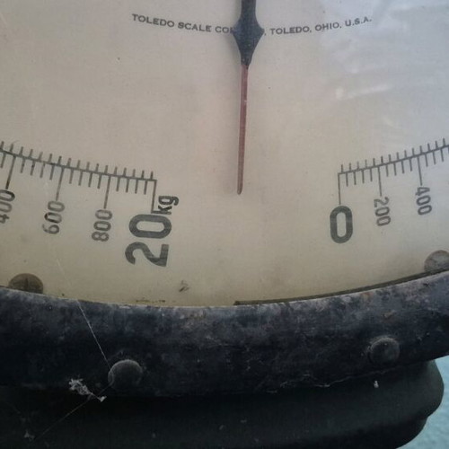 Toledo scale used, up to 20kg
