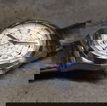  Swatch Sistem Soul YIS 402 Automatic