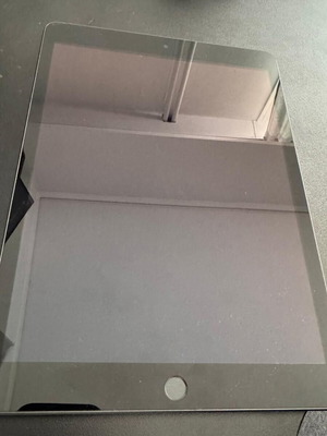 Apple iPad 2021 10.2" 3GB/64GB Space Gray with Apple Pencil 1st generation like new