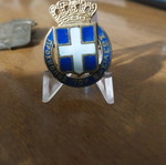 Scout pin used