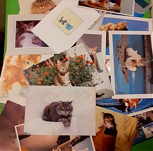 Συλλογή καρτ ποστάλ με γατάκια
