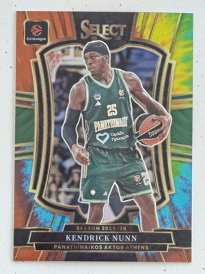 Kendrick Nunn numbered Select basketball cards, patch