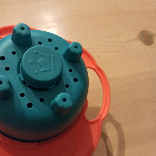 Lion rotating plate new with handles for small hands