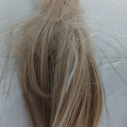 Hair Tress used, four strands