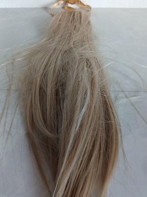 Hair Tress used, four strands