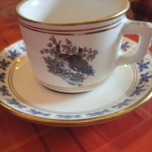 Coffee cup new with bird design