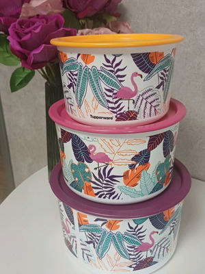 Tupperware canister set 900 ml, 1.4 l and 2 l new