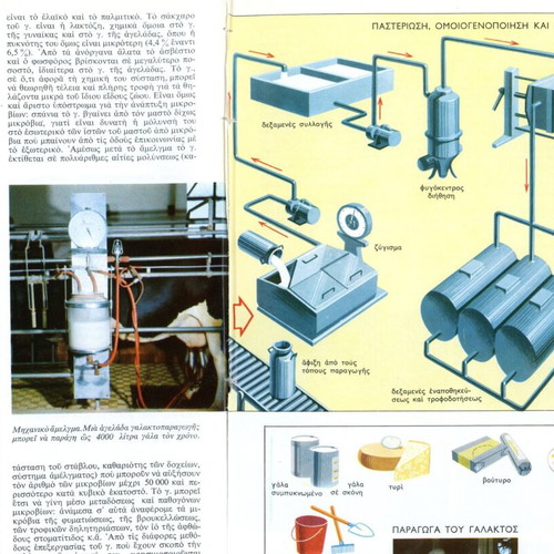 Milk and Dairy Encyclopedia Entry used, detached pages from volume 4