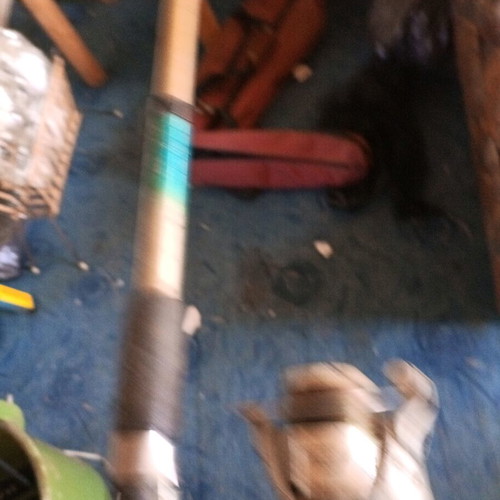 Fishing rod with reel used for fishing