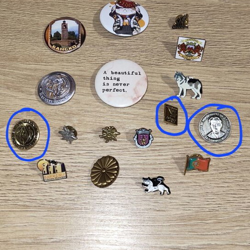 Various pins, some vintage from last century
