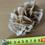 Desert rose like new