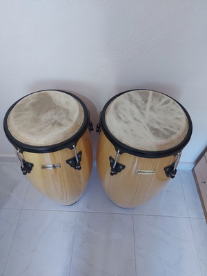 Millenium Congas