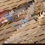  γυαλιά ηλίου toms