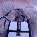 Aldo bag new