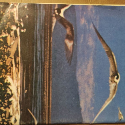 I Nea Oikologia magazine, September 1987