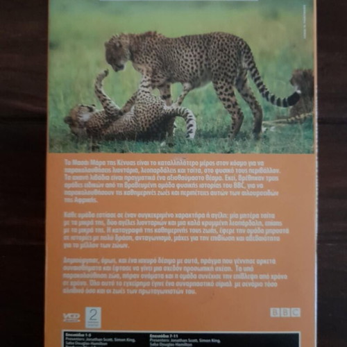 The Big Cat Week VCD new, BBC documentary with subtitles