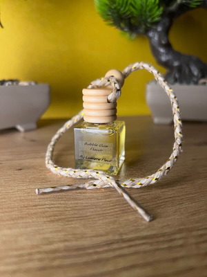Bubble Gum Car Diffuser new
