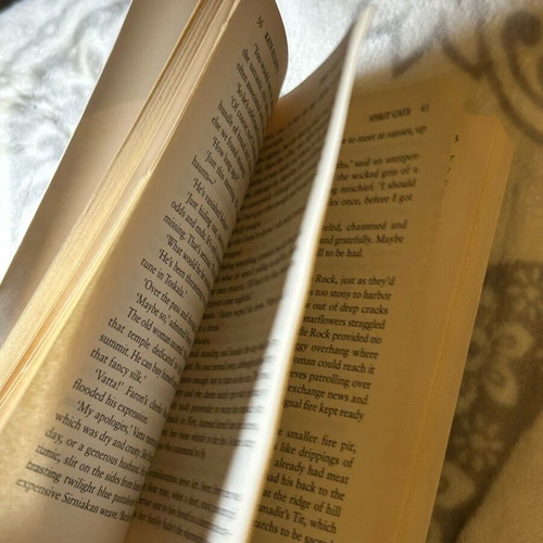 Book used, fantasy, English