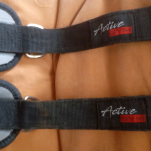 Active Gym fitness wrist accessories like new