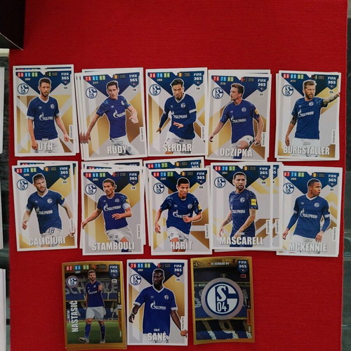 2020 FIFA 365 Adrenalyn Shalke cards like new
