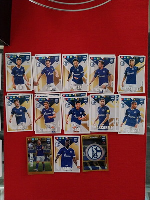 2020 FIFA 365 Adrenalyn Shalke cards like new