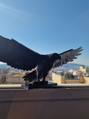 Eagle 3D PETG bird repellent and decorative for balcony