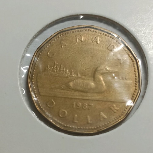 Canada 1 dollar 1987 used in good condition