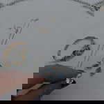  Σύνολο ρολογιού, κολιέ, σκουλαρίκια και δαχτυλίδι