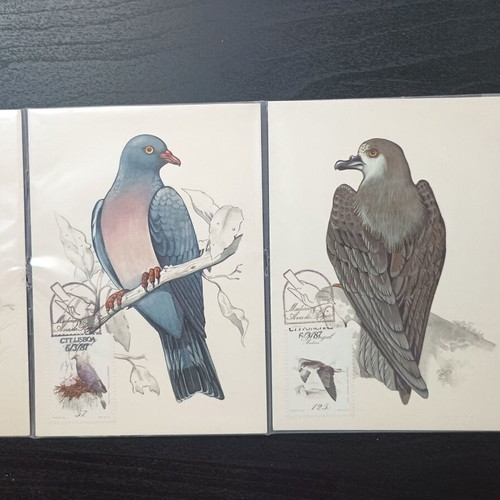 Postais Máximos Madeira Portugal maximum cards, set of 4