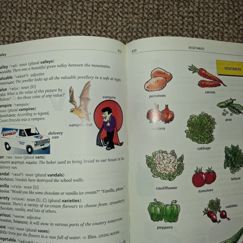 Junior English-Greek & Greek-English Illustrated Dictionary used