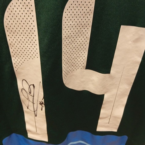 Panathinaikos FC 2025/26 Home Jersey Large Signed Match Worn Palmer-Brown