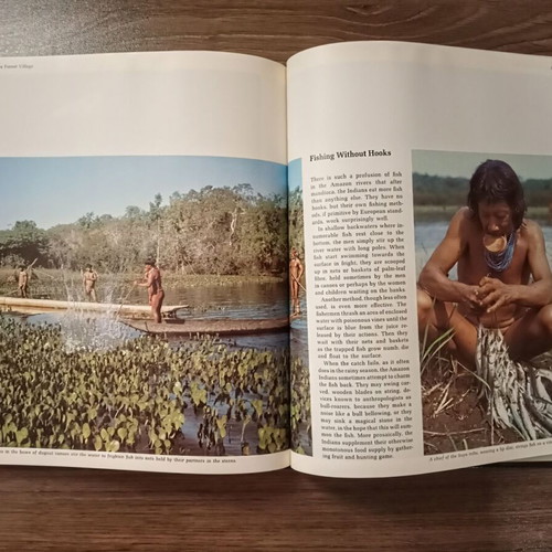 The world’s wild places: The Amazon