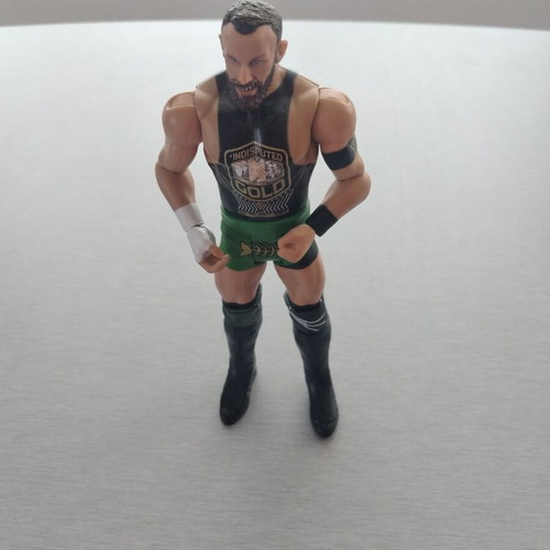 Bobby Fish WWE Pro-Wrestling Action Figure Toy like new
