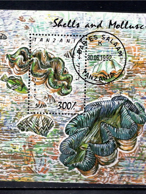 Foglietto stamps 1992 Shells block used