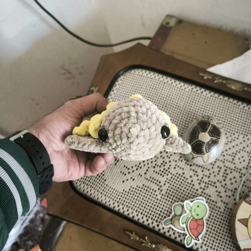 Collection of Handmade Turtle-Themed Items New
