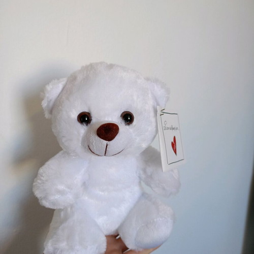 White teddy bear brand new