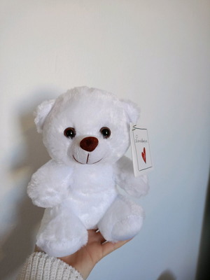 White teddy bear brand new