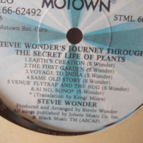 Stevie Wonder and La Bionda records used, pack of 2 without covers