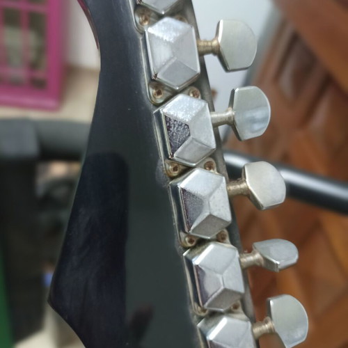 Westsound Professional electric guitar with case