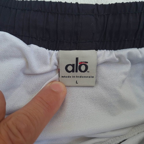 Alo Yoga women's sports shorts size L, black and purple