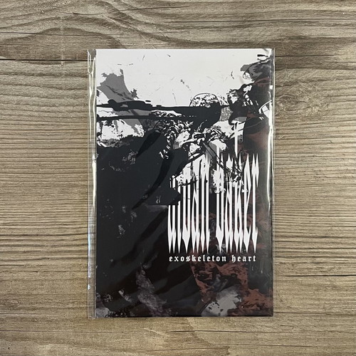 Aidan Baker Exoskeleton Heart CD-R new, metal