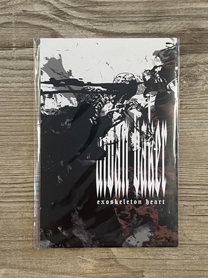 Aidan Baker Exoskeleton Heart CD-R new, metal