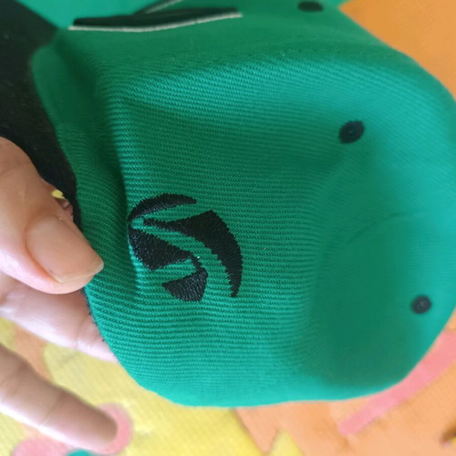 YOLO hat new, size L, black and green