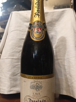 Vintage Castillo Perelada Cava Extra Seco bottle 1980s new