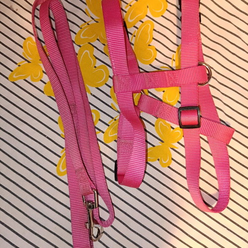 Leash and harness like new for small to medium dogs