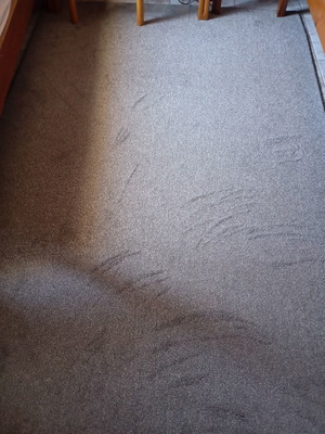 Rugs like new, one gray and one rotten apple color, 1.60x2.40 m each