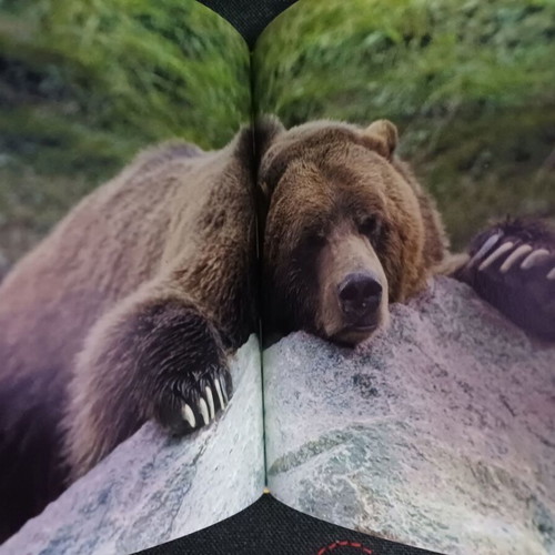 Book with Animals like new, about 1000 pages, Greek with index