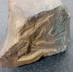 Various rocks used, pack