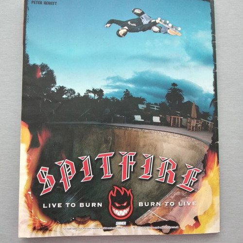 Side Walk Skateboard Magazine #197 February 2013 used