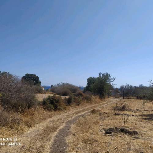 Agricultural land 2.5 acres with 28 sqm caravan in Vatera Lesvos